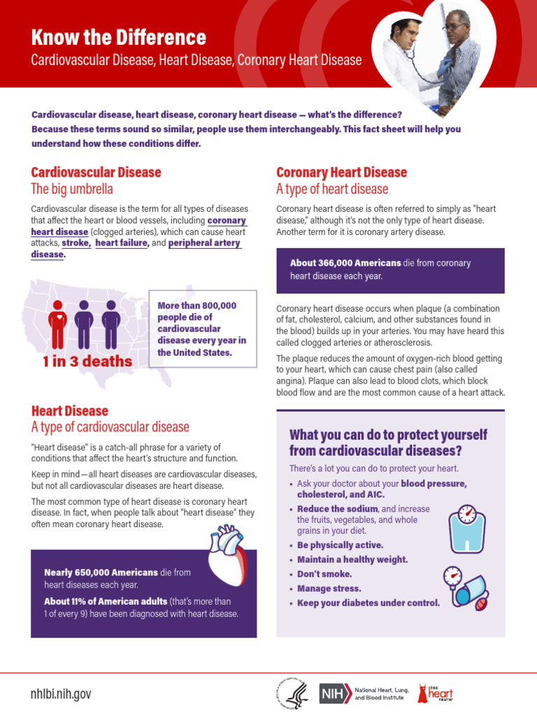 Understanding Cardiovascular Diseases | PDF | Coronary Artery Disease ...