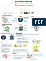 บทที่ 1 โครงสร้างและหน้าที่ของเซลล์