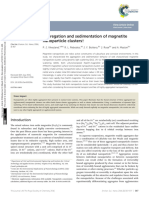 Aggregation and Sedimentation of Magnetite Nanoparticle Clusters