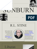 Sunburn Presentation