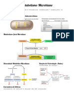 Metabolismo Microbiano