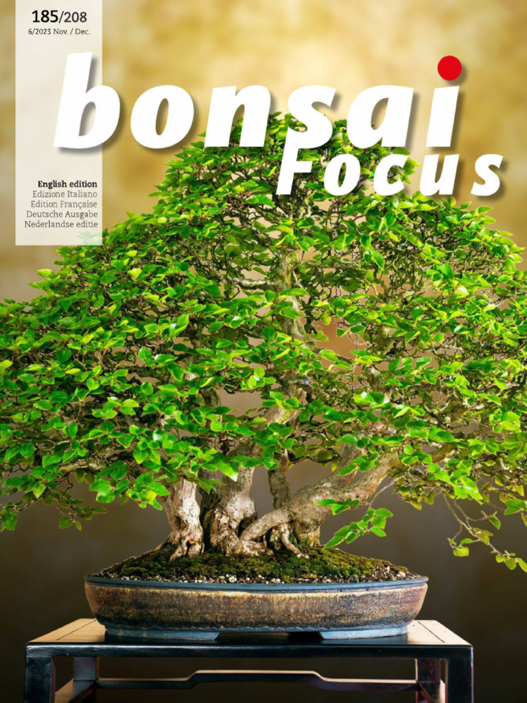 drehteller bonsai DIY Bonsai Bar Kit
