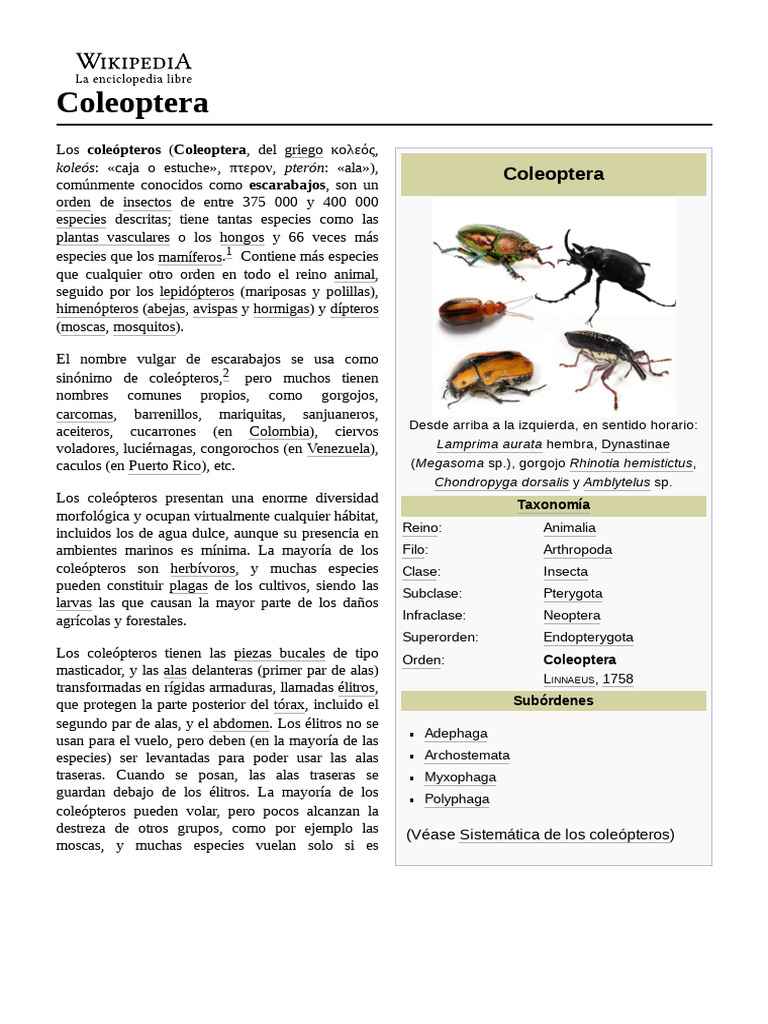 Escarabajo | PDF | Escarabajo | Insectos