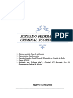 Informe Pericial Dactiloscopico