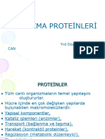 03 Plazma Proteinleri 