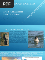 Садковое рыбоводство. С.Н. Александров: все секреты и основные правила успешного разведения