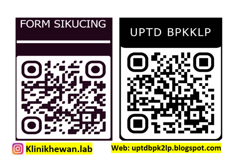 QR Code | PDF