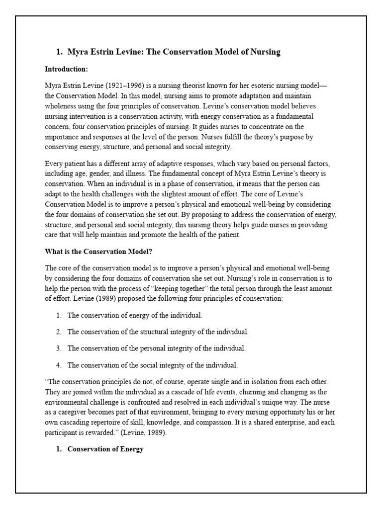 Myra Estrin Levine PDF System Nursing