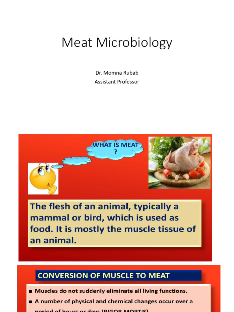 Meat Microbiology PDF