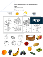 Evaluare DS