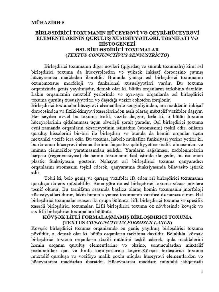 M 5 | PDF