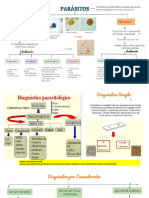 N°7 - Técnicas PROTOZOARIOS