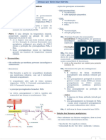 AnalgÃ©sicos e AntitÃ©rmicos