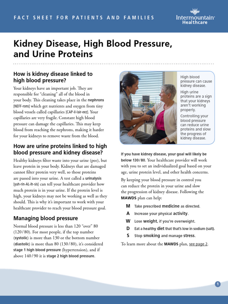 What Can You Do To Lower Protein In Your Urine