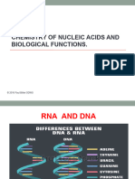 02 - THE - NUCLEIC - ACIDS-1 (Daniel Victoria Madi) - 1