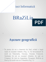 Proiect Informatica - Brazilia