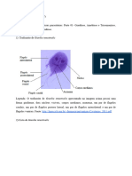 Atlas de Imagens e Estruturas Parasitárias - Parte 01 - Giardíase, Amebíase e Tricomoníase, Toxoplasmose e Criptosporidíase