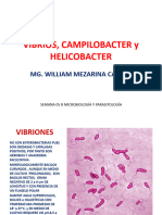 vIBRIOS, CAMPILOBACTER y HELICOBACTER