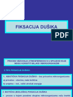 Tlo Fiksacija Dusika