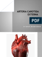 Arteria Carotida Externa