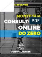 E-Book Crie Sua Consultoria Online Do Zero - Vibe