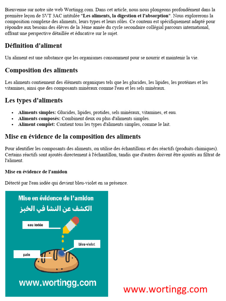 Définition et types d'aliments | PDF | Nourritures | Lait
