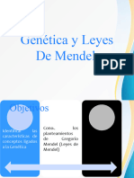 Leyes Mendel Yessenia 2020