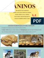 Exposición Caninos, Etologia.