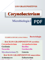 1 - PW Corynebacterium 2023 UNICEN