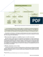 Alumnos Nanomateriales Propiedades, Aplicaciones