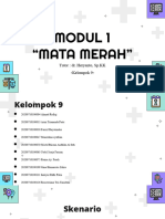 Modul 1 Mata Merah - Kelompok 9 Ss