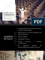 Ferreira (2023) - Direitos Humanos
