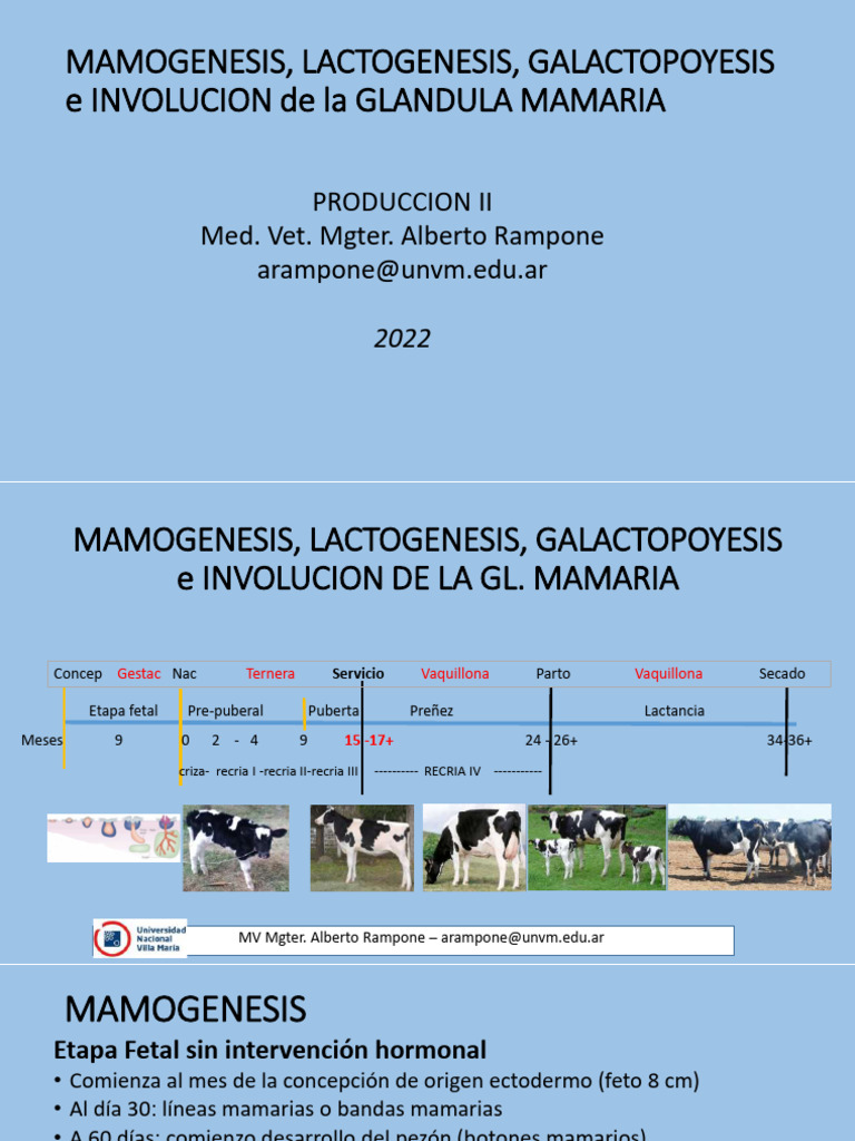 5 - Mamogenesis-Lactogenesis-Galactopoyesis-Otros-2022 | PDF | Leche ...