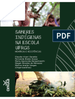 Saberes Indigenas