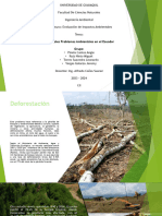 Investigación Grupal de Principales Problemas Ambientales en El Ecuador