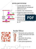 Anemia Perniciosa, II Parte de Metabolismo de Vit. B12 y Ac. Folico