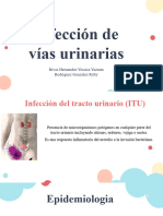 Infeccion de Vias Urinaas