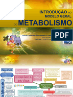 Aula 07 - Introdução Ao Modelo Geral de Metabolismo Celular