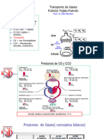 Transporte de Gases
