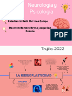 Cuadro Neuroplasticidad