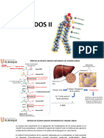 Lipidos II 2022