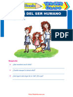 Etapas Del Ser Humano para Tercer Grado de Primaria