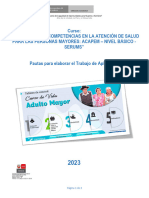 Pautas Trabajo Aplic. Curso Desarrollo Competencias Acapem - Serums Vb (1)