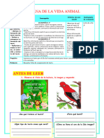 U Reforzamiento Semana Animal Prof Yessenia Carrasco