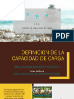 3.1.4. Cálculo de Capacidad de Carga