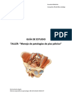 Guía Estudio Manejo Patologías Piso Pélvico - 1884284172