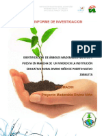 Informe Final Promadin