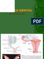 Kuliah PA Genitalia Wanita - Modul GS Repro19