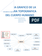 Esquema Grafico de La Anatomia Topografica Del Cuerpo Humano