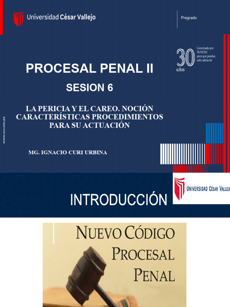 Pericia y Careo en Procesal Penal II | PDF | Testigo experto ...